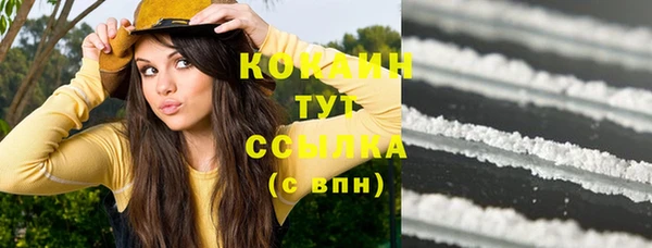 гидра Белая Холуница
