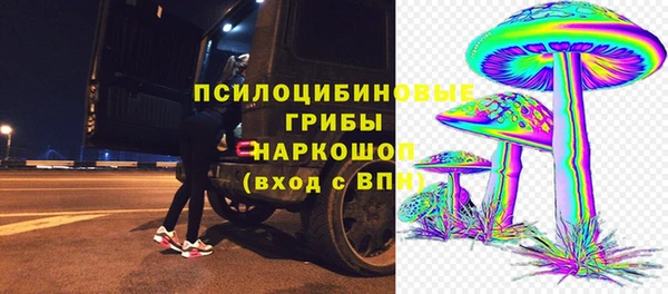 прущая мука Абаза