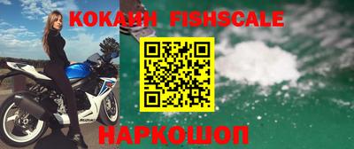 гидра Краснознаменск