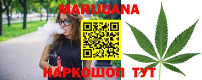 гидра Краснознаменск