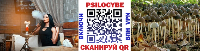 Галлюциногенные грибы Cubensis  OMG   darknet телеграм  купить наркотики сайты  Новоалександровск 