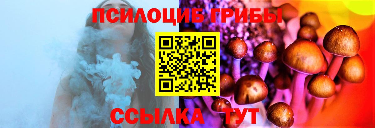 Псилоцибиновые грибы ЛСД Новоалександровск